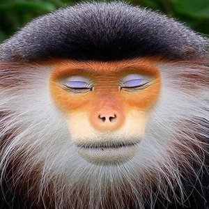 kognitív viselkedés terápia